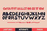 Hallo Boss | Playful Display Font, a Handwritten Font by Denustudios (Thumbnail 14 of 15)