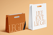 Delicate Calligraphy Elegant Serif, a Serif Font by Vampstudio (Thumbnail 10 of 14)