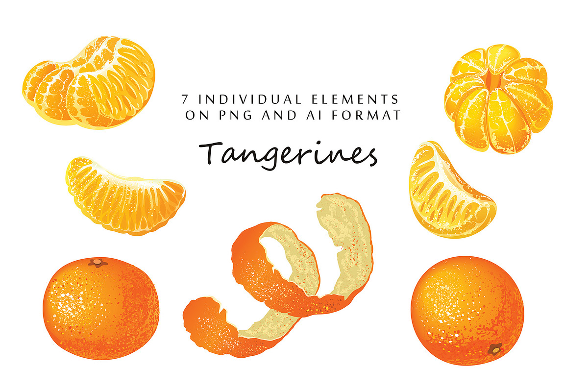 Vector set with realistic tangerine, a Food Illustration by natamastery (Photo 2 of 5)