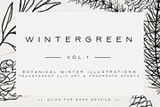 Wintergreen Design Set, a Brush Add-On by SorrDesign (Thumbnail 1 of 3)