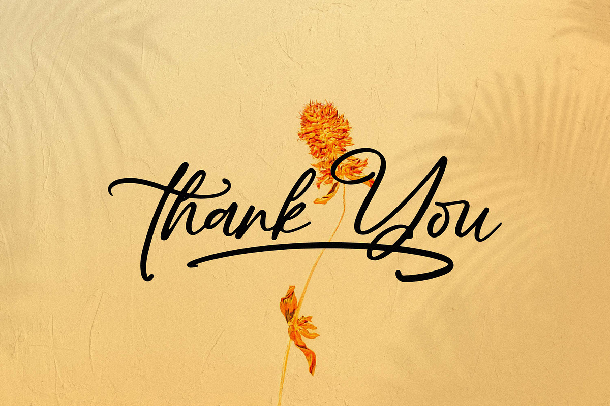 Realmejo Bellame, a Script Font by Integritype Studio (Photo 15 of 15)