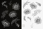 Watercolor Sunflowers and Peonies, a Decorative Illustration by ReachDreams (Thumbnail 8 of 10)