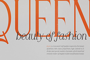 Queen Serif - 10 fonts, a Serif Font by FactoryType Studio (Thumbnail 3 of 10)