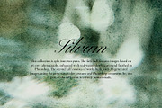 Silvam - Natural Backgrounds, a Background Graphic by Watercolor_Ma (Thumbnail 2 of 9)