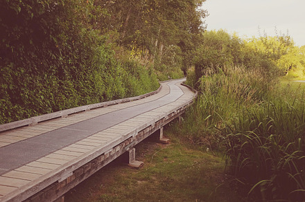 Natures Steps preview 5