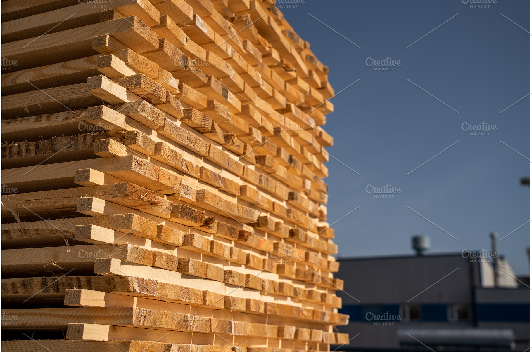 Perspective view of raw timber, an Industrial Photo by volodymyrshtun13795