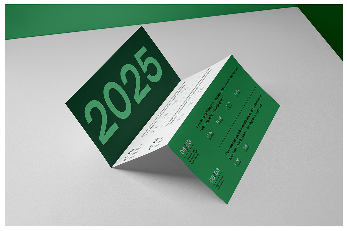 Flayer Trifold and Brochure Mockups, a Mockup by Mr.Mockup™ (Photo 11 of 18)