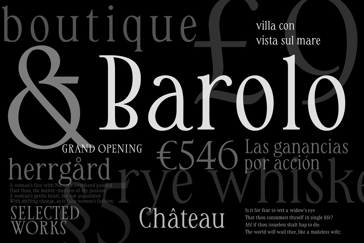 Rebus — Modern Classic Serif, a Font by vatesdesign (Photo 5 of 6)