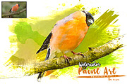 SALE! 21 In 1 Creative PS Actions, an Action Add-On by Jacpot007 (Thumbnail 44 of 55)