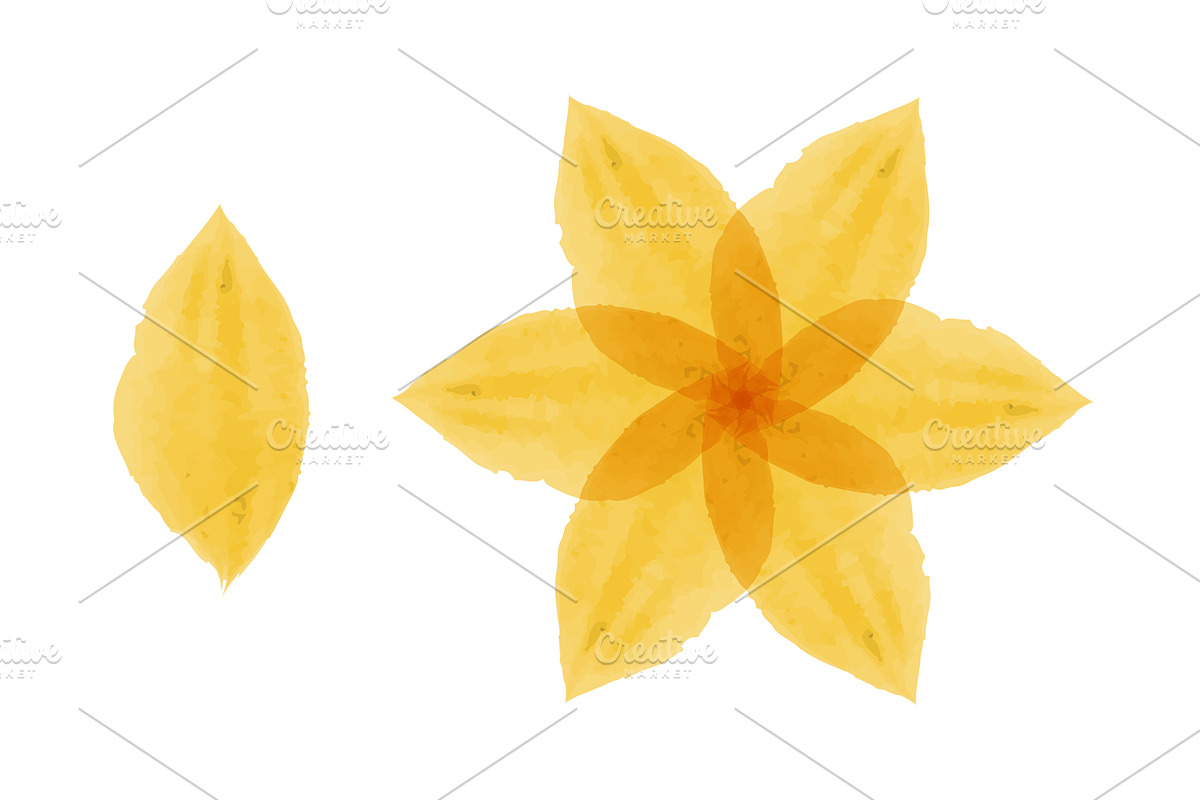 Soft yellow watercolor flower with, an Object Illustration by okskukuruza