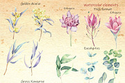 Welcom to Australia, an Animal Illustration by Watercolor arts (Thumbnail 3 of 5)