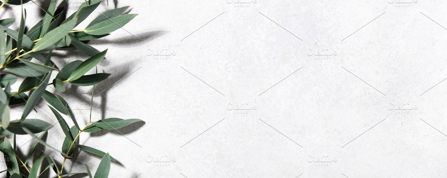 Minimal Botanical Background with Eucalyptus Leaves on Light Sur, an Abstract Photo by Natalia Klenova's Shop