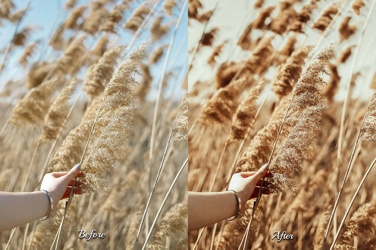30 Fall Feel Lightroom Collection, a Preset Add-On by 3Motional (Photo 5 of 11)