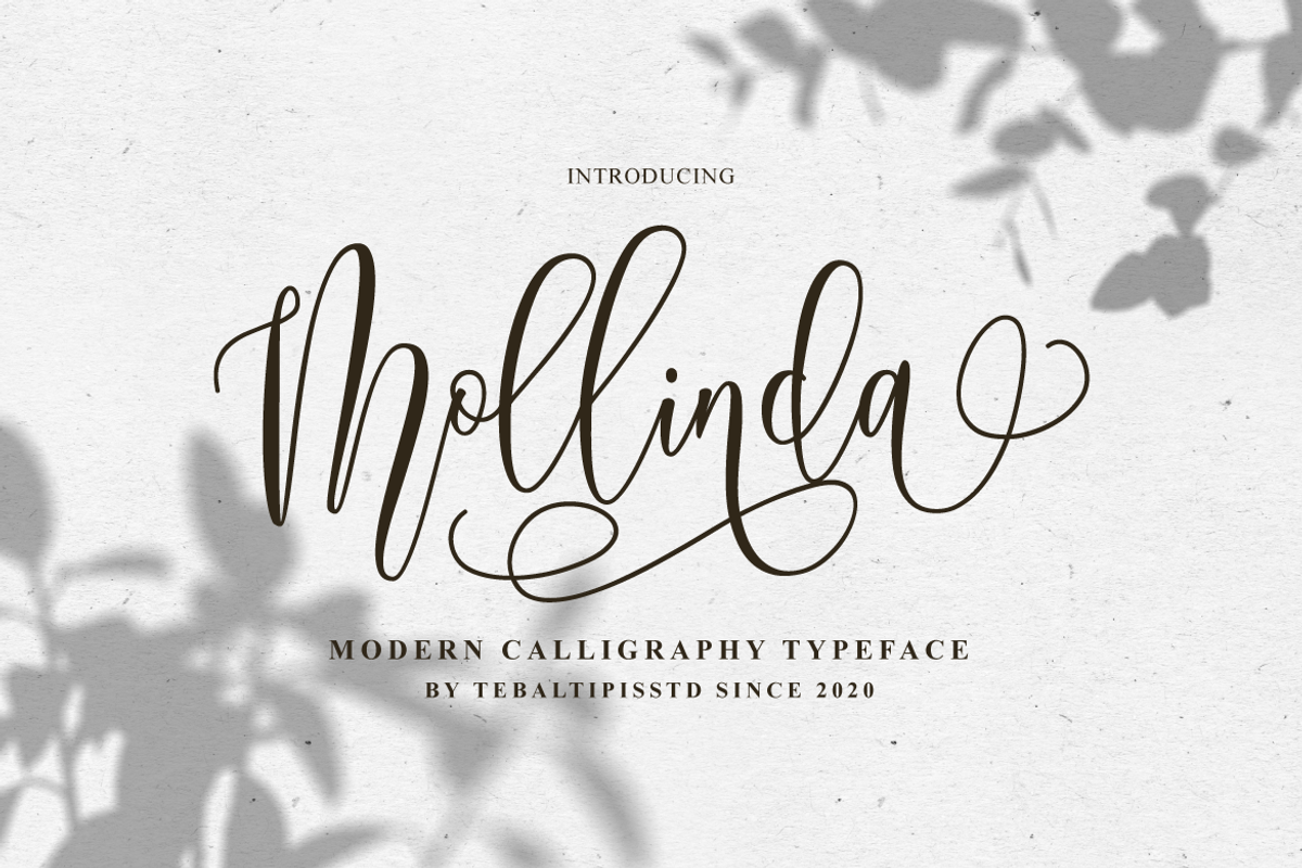 Mollinda - Modern Script Typeface, a Script Font by tebaltipislab (Photo 1 of 10)