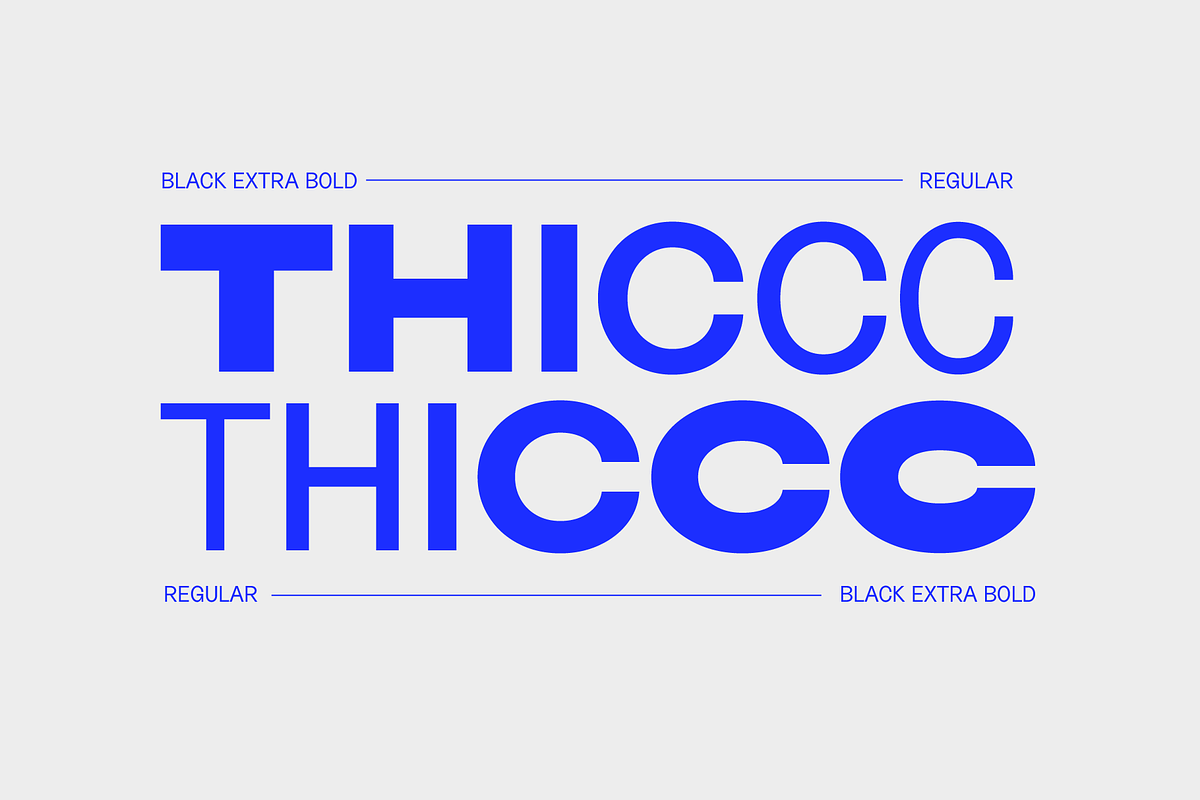 Neuething Sans Family: 30 Fonts, a Sans Serif Font by That That Creative (Photo 4 of 15)