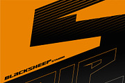 STRIP for DRIVE, a Serif Font by Blacksheep studio (Thumbnail 2 of 4)