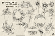 Sunflowers line art + Procreate, a Decorative Illustration by Skliarova (Thumbnail 5 of 5)