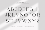 Asbigan, a Serif Font by Sealoung (Thumbnail 10 of 21)