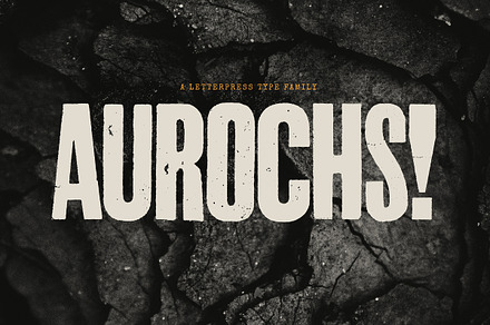 Aurochs: letterpress type family, a Sans Serif Font by Polymath