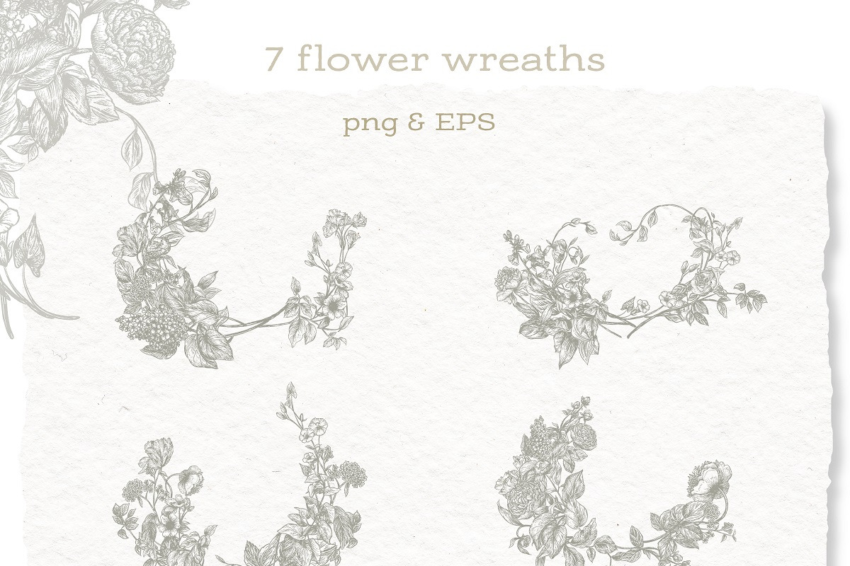 Vintage Botanical Floral - Clipart, a Decorative Illustration by BlumenSoul (Photo 5 of 10)