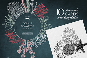 Vector Seaweeds Collection