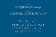 Lyrvand - Modern Serif Font, a Serif Font by Rishsketch (Thumbnail 13 of 15)