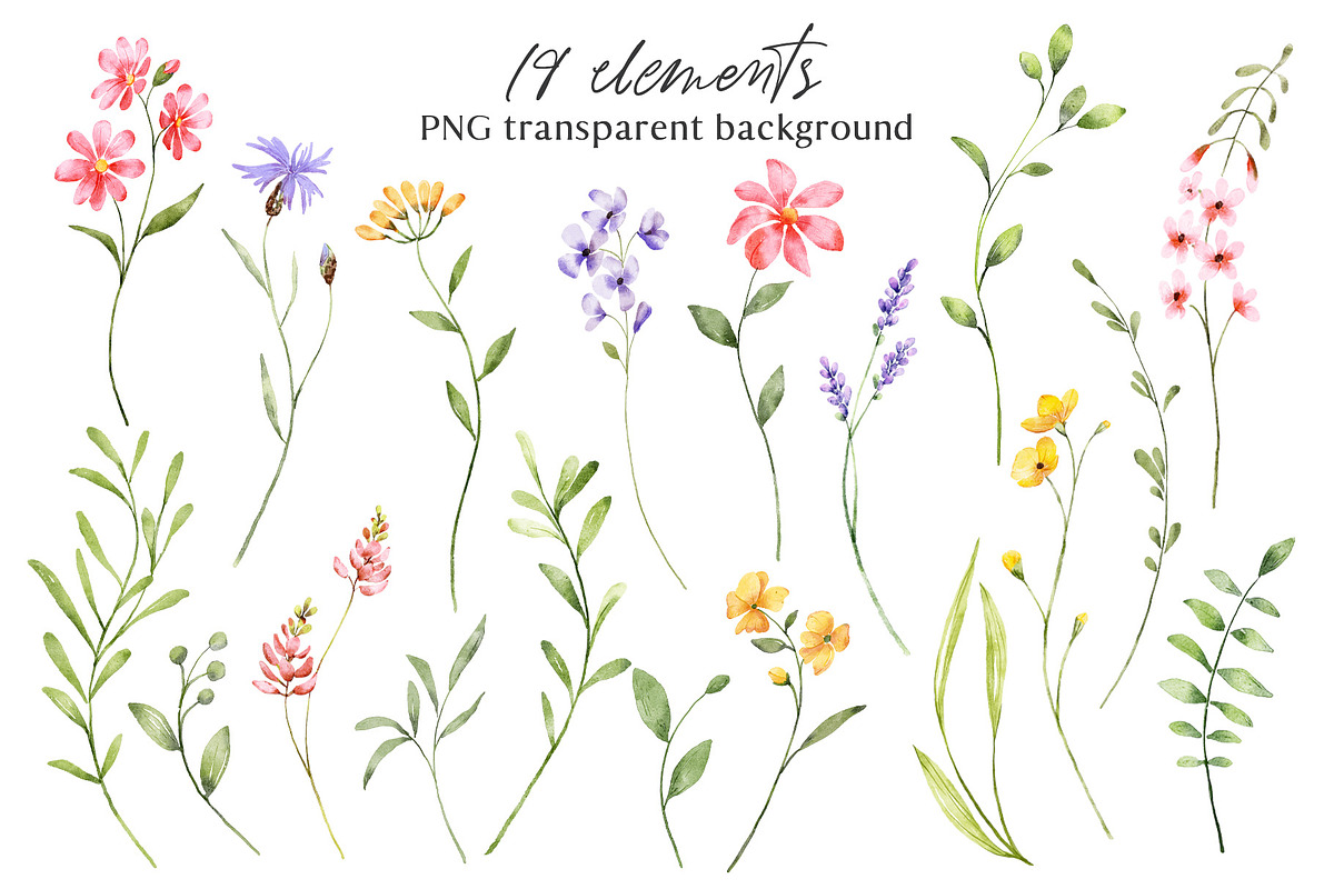 Wild flowers, watercolor clipart PNG, a Decorative Illustration by Larisa Maslova (Photo 3 of 8)