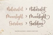 Roasted Sandwich, a Script Font by Mozatype (Thumbnail 8 of 10)