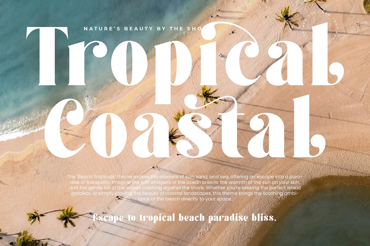 Forest Sunrise Bold Display Serif, a Serif Font by timelesstype.co (Photo 7 of 20)
