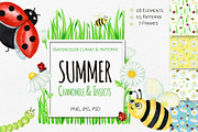 Summer Ladybug & Chamomile clipart, an Object Graphic by svetlanaARTdreams (Thumbnail 1 of 8)