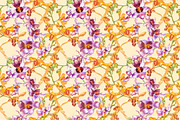 Orchids branch in botanical style, a Decorative Illustration by Ann Astro (Thumbnail 15 of 15)