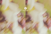 Blur Flower Abstract Backgrounds, a Background Graphic by eclosque (Thumbnail 24 of 27)