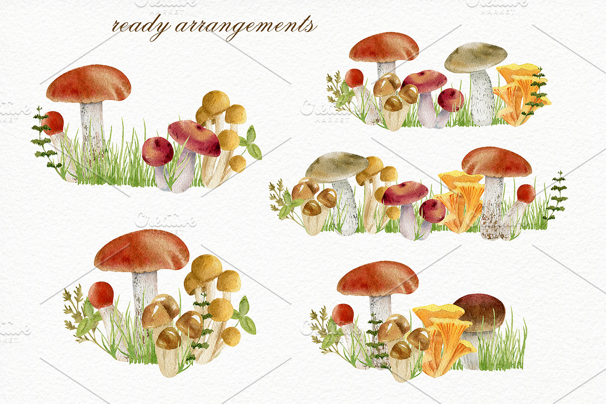 Forest watercolor designer toolkit, an Animal Illustration by Elegantia (Photo 19 of 28)