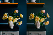 Kodak Elite Chrome, a Preset Add-On by colorituals (Thumbnail 3 of 8)