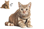 Oil Paint Creator Photoshop Action, an Action Add-On by MRI STUDIO (Thumbnail 10 of 14)