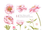 Pink Peonies Watercolor Women Beauty, a Decorative Illustration by Elena Malgina Clipart (Thumbnail 10 of 13)
