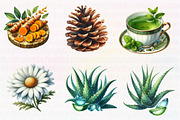 Watercolor Nature Clipart, an Illustration by CreationArt (Thumbnail 7 of 7)