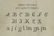 Allegiance - Unique Alternate Font, a Serif Font by Sohel Studio (Thumbnail 10 of 11)