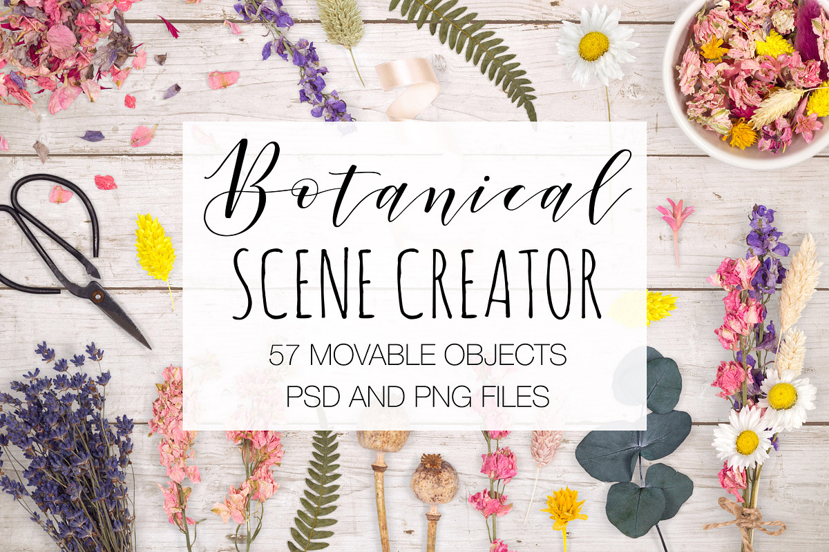 Botanical Scene Creator, a Product Mockup by Pixomize (Photo 1 of 5)