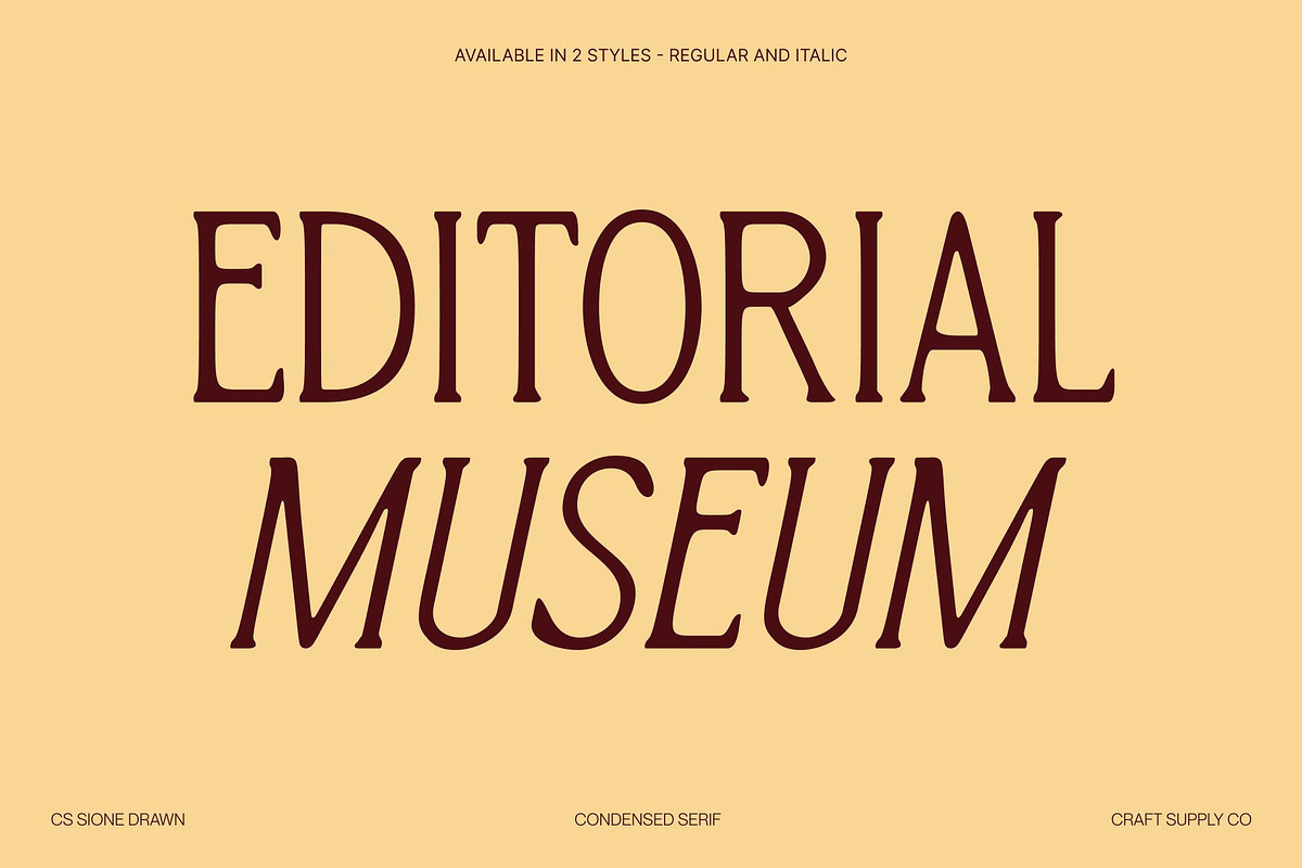 CS Sione Drawn, a Serif Font by Craft Supply Co. (Photo 4 of 8)