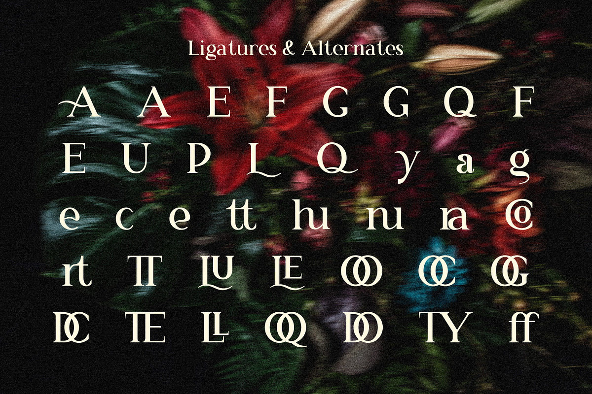 RS Djarum – New Classic Serif Font, a Serif Font by Rahagita Studio (Photo 9 of 12)