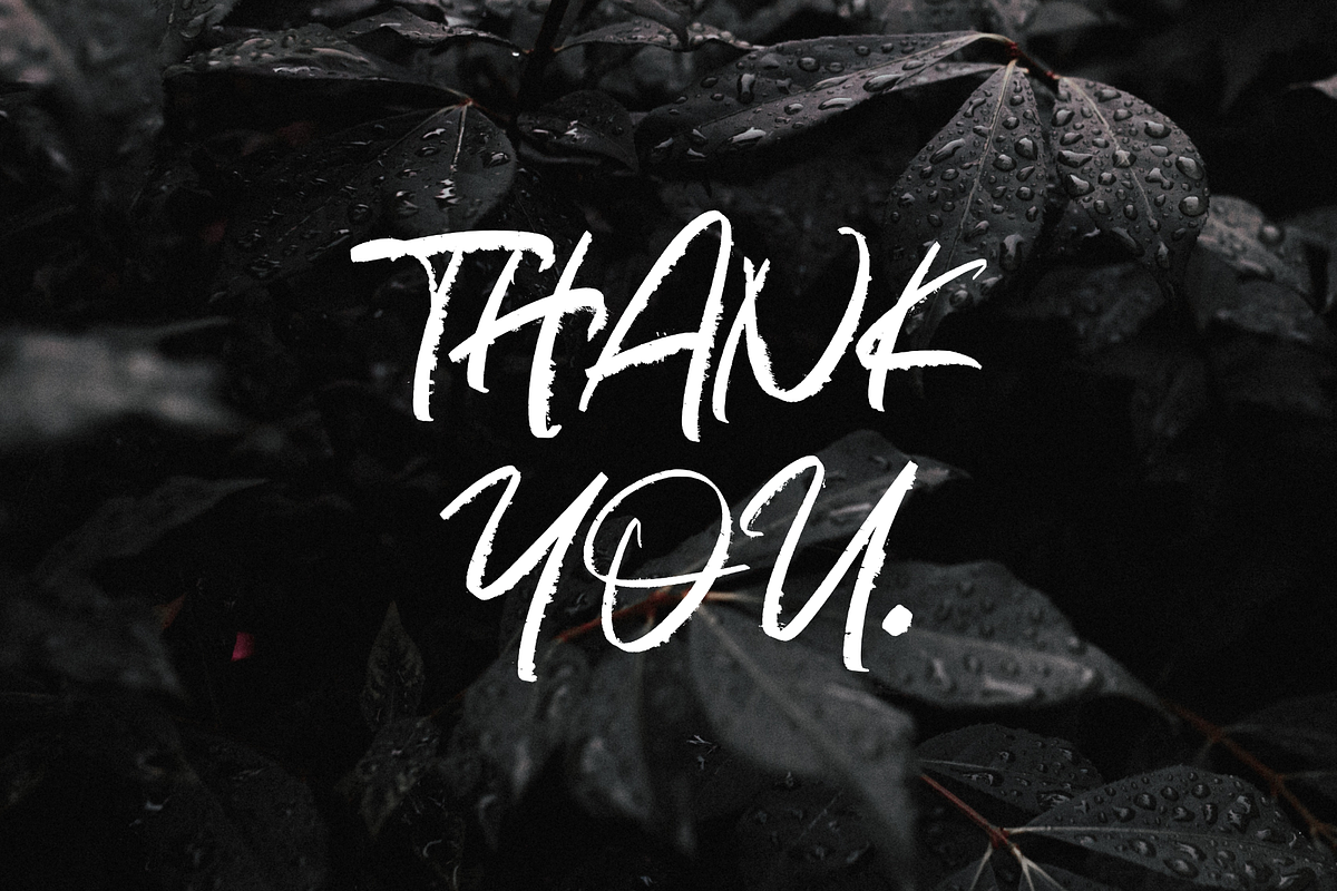 Bright Light, a Script Font by Omotu Studio (Photo 12 of 12)