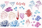 Under the sea big collection, an Animal Illustration by Fantom Fifi Art (Thumbnail 3 of 8)