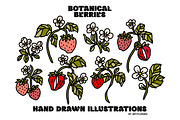 Hand Drawn BOTANICAL BERRIES, an Object Graphic by Artflorara (Thumbnail 4 of 9)