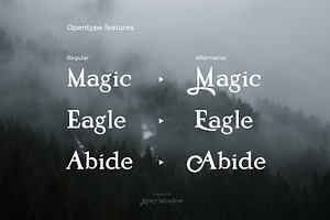 Misty Meadow - Mystical Serif Font