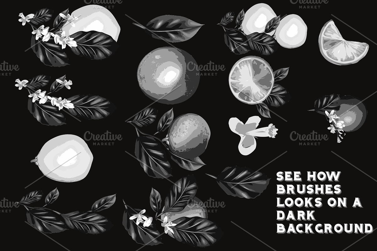 set of flowers brushes2 preview 6
