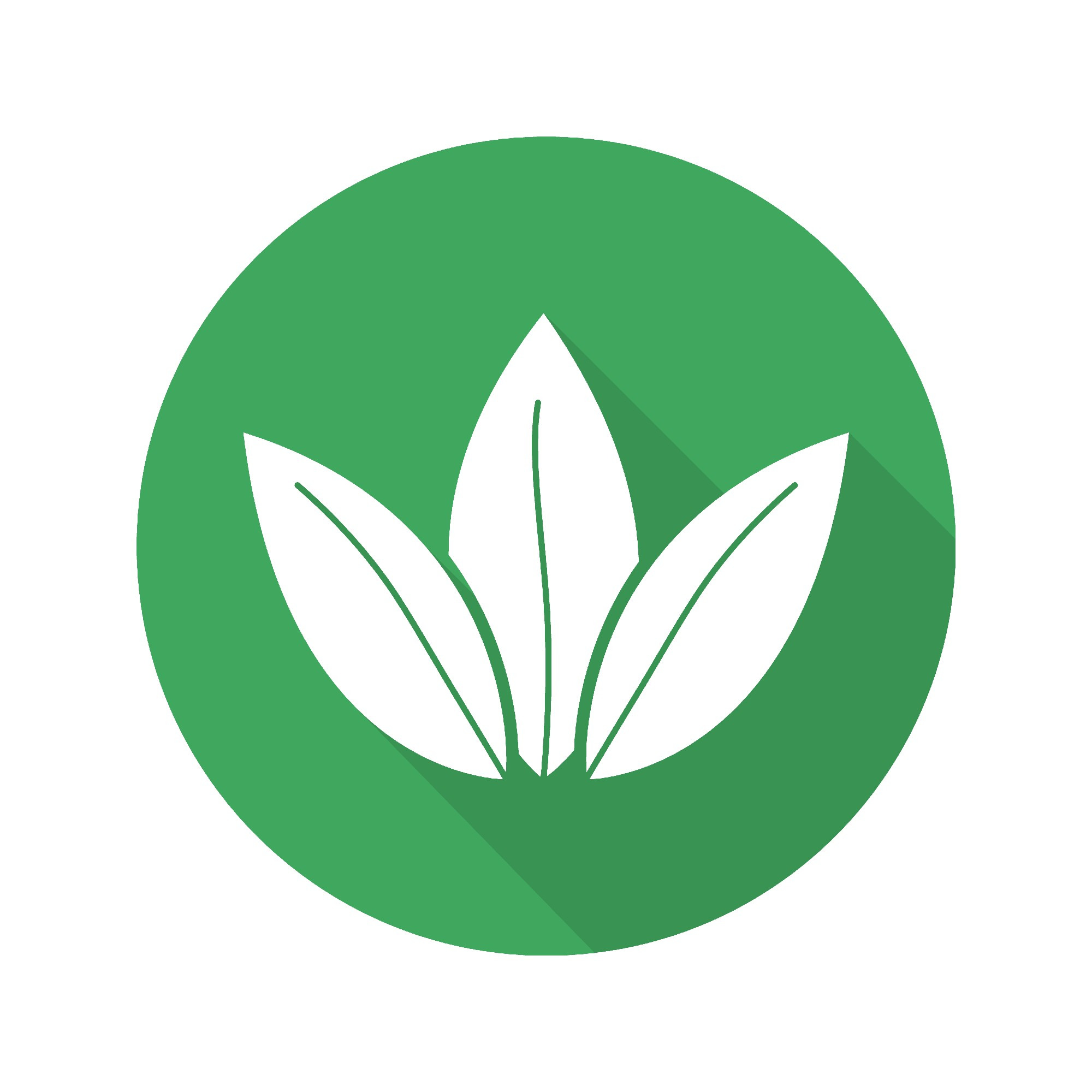 Tea leaves icon. Vector, an Icon by IMG Visuals