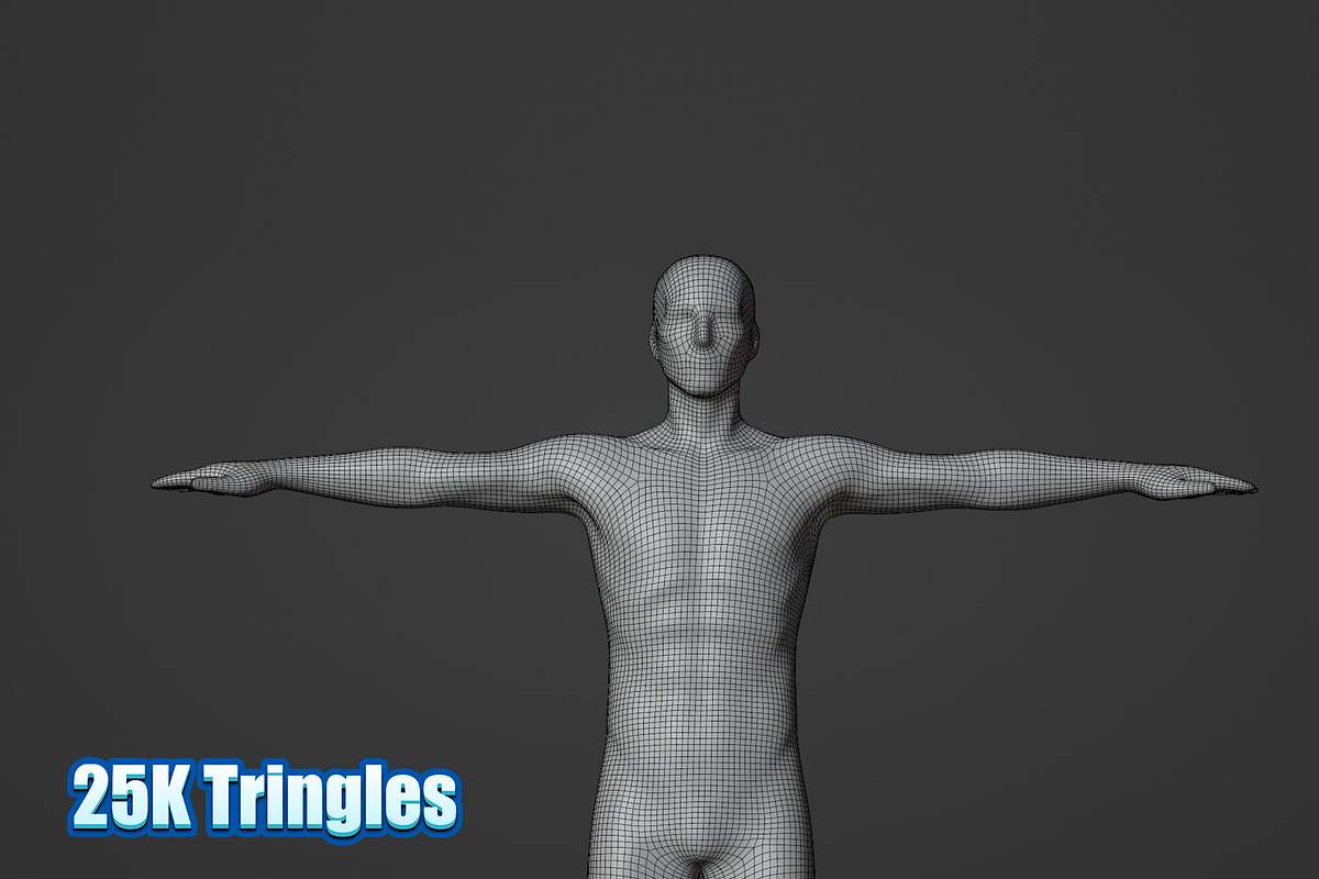 Male Human Base Mesh – Rigged, a Characters & Person 3D Model by Casa Mandarina (Photo 5 of 8)