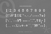 Rafikae | Modern Serif Font, a Serif Font by Denustudios (Thumbnail 10 of 13)