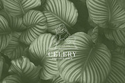 Botanical Illustration & Logo Bundle, a Branding & Logo Template by Lightsense (Thumbnail 7 of 8)